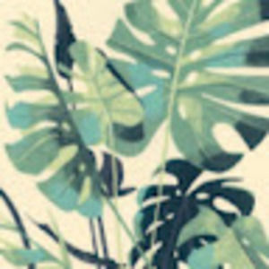 Meet your Posher, Katlyn